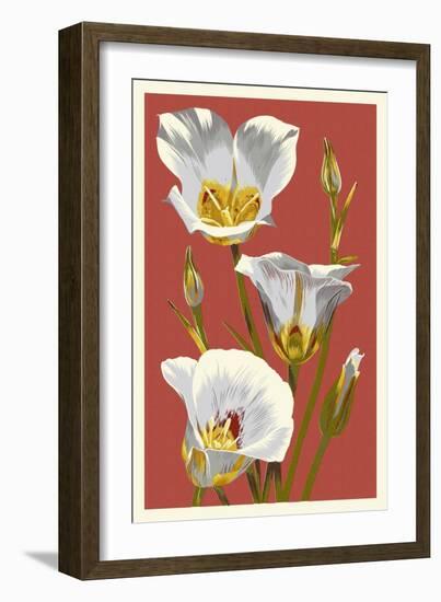 Sego Lily - Letterpress-Lantern Press-Framed Art Print