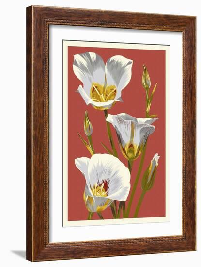 Sego Lily - Letterpress-Lantern Press-Framed Art Print