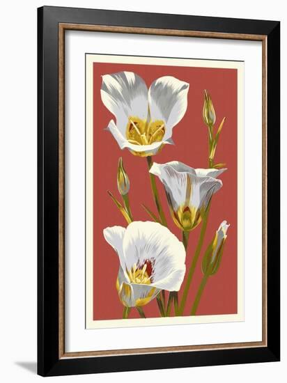 Sego Lily - Letterpress-Lantern Press-Framed Art Print