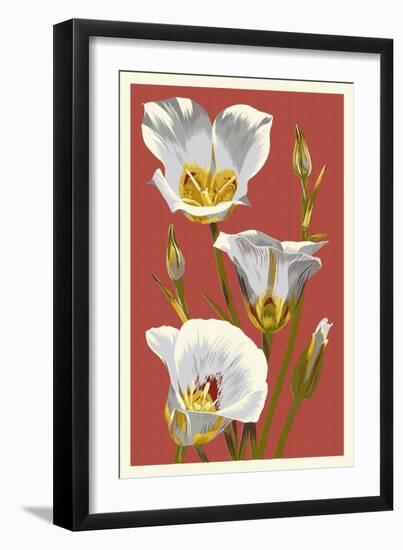 Sego Lily - Letterpress-Lantern Press-Framed Art Print