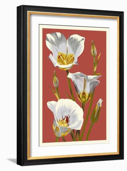 Sego Lily - Letterpress-Lantern Press-Framed Art Print