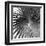 Segovia Noir - Focus-Ben Wood-Framed Giclee Print