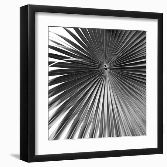 Segovia Noir - Focus-Ben Wood-Framed Giclee Print