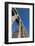 Segovia's Ancient Roman Aqueduct, Segovia, Castilla Y Leon, Spain, Europe-Martin Child-Framed Photographic Print