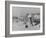 Segregated Beach in Durban-null-Framed Photographic Print