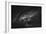 Seguin Bw-Sebastien Lory-Framed Photographic Print