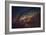 Seguin-Sebastien Lory-Framed Photographic Print