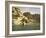 Sehel, on the road to Nubia, Egypt-English Photographer-Framed Giclee Print