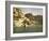 Sehel, on the road to Nubia, Egypt-English Photographer-Framed Giclee Print