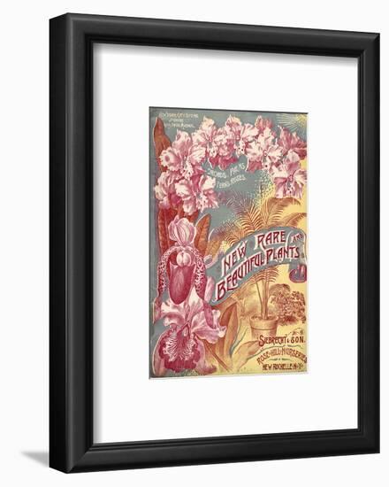 Seibrecht Plants New Rochelle-null-Framed Art Print