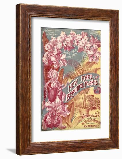 Seibrecht Plants New Rochelle-null-Framed Art Print