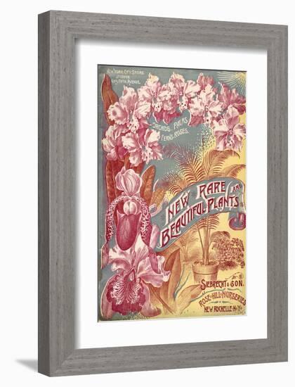 Seibrecht Plants New Rochelle-null-Framed Art Print