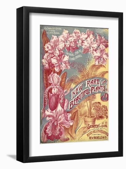 Seibrecht Plants New Rochelle-null-Framed Art Print