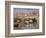 Seine at Asnieres, 1873-Claude Monet-Framed Giclee Print