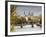 Seine River and Ile De La Cite, Paris, France-Walter Bibikow-Framed Photographic Print