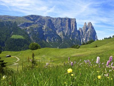 Alpe di Siusi/Seiser Alm | Landscape reference, Places to 