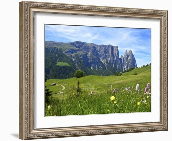 Seiser Alm, Trentino, South Tyrol, Italy-Katja Kreder-Framed Photographic Print