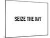 Seize The Day-SM Design-Mounted Art Print