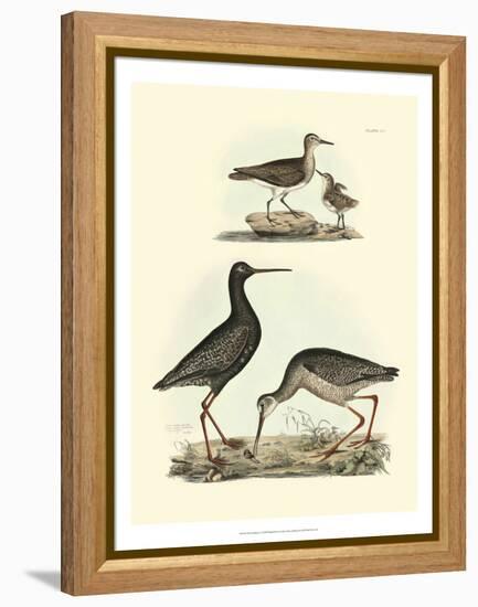 Selby Sandpipers I-John Selby-Framed Stretched Canvas