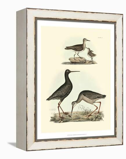 Selby Sandpipers I-John Selby-Framed Stretched Canvas