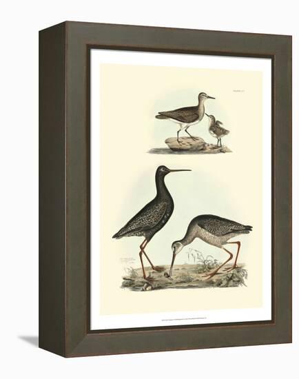 Selby Sandpipers I-John Selby-Framed Stretched Canvas