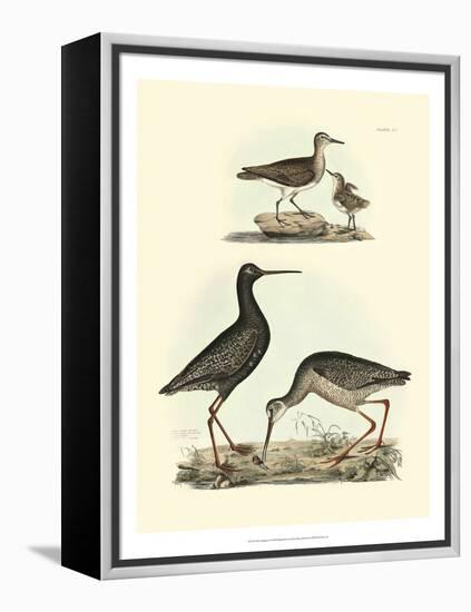 Selby Sandpipers I-John Selby-Framed Stretched Canvas