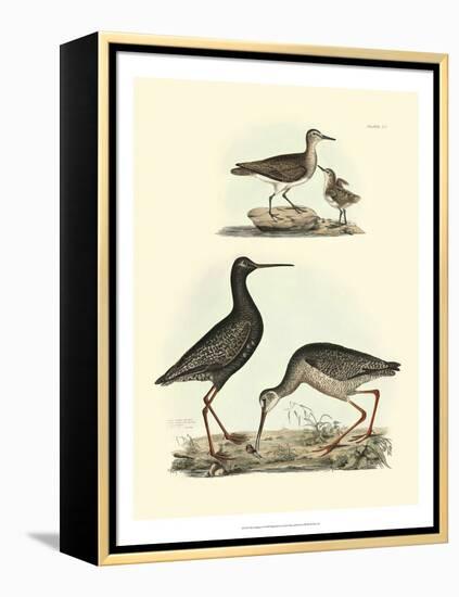 Selby Sandpipers I-John Selby-Framed Stretched Canvas