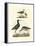 Selby Sandpipers I-John Selby-Framed Stretched Canvas