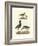 Selby Sandpipers I-John Selby-Framed Art Print