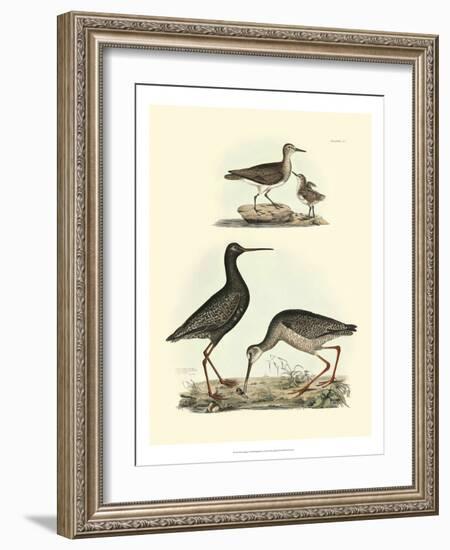 Selby Sandpipers I-John Selby-Framed Art Print