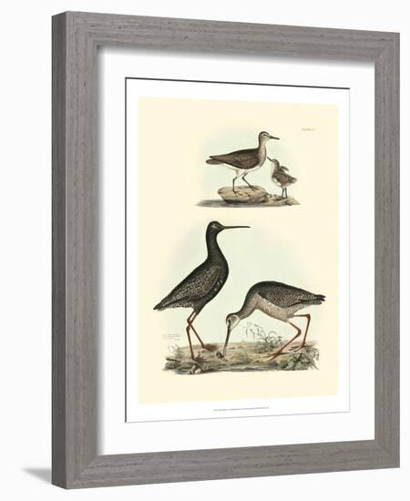 Selby Sandpipers I-John Selby-Framed Art Print