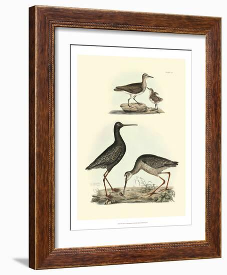 Selby Sandpipers I-John Selby-Framed Art Print