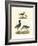 Selby Sandpipers I-John Selby-Framed Art Print