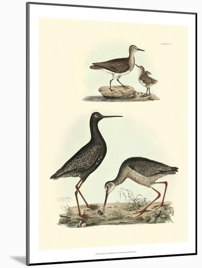 Selby Sandpipers I-John Selby-Mounted Art Print