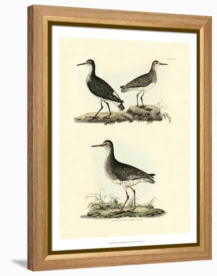 Selby Sandpipers II-John Selby-Framed Stretched Canvas