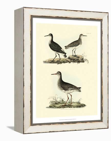 Selby Sandpipers II-John Selby-Framed Stretched Canvas