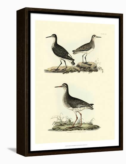 Selby Sandpipers II-John Selby-Framed Stretched Canvas