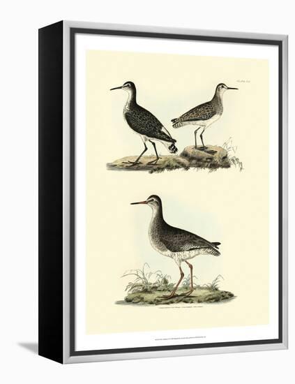 Selby Sandpipers II-John Selby-Framed Stretched Canvas