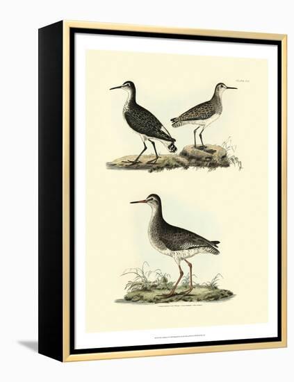 Selby Sandpipers II-John Selby-Framed Stretched Canvas