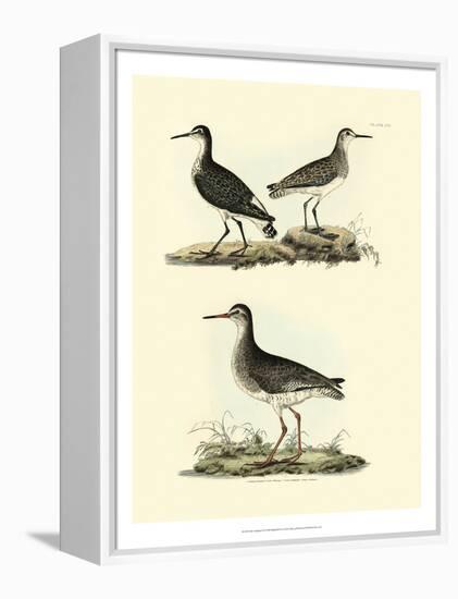 Selby Sandpipers II-John Selby-Framed Stretched Canvas