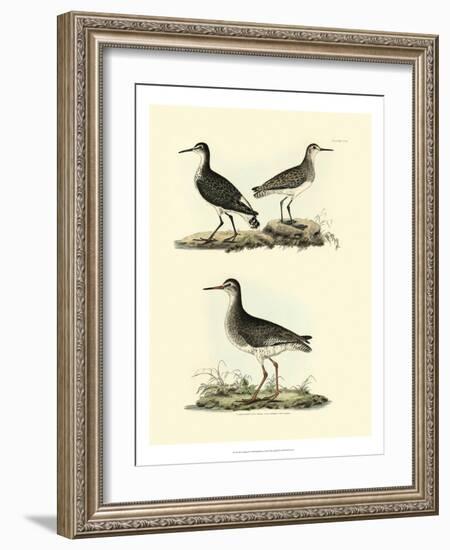 Selby Sandpipers II-John Selby-Framed Art Print