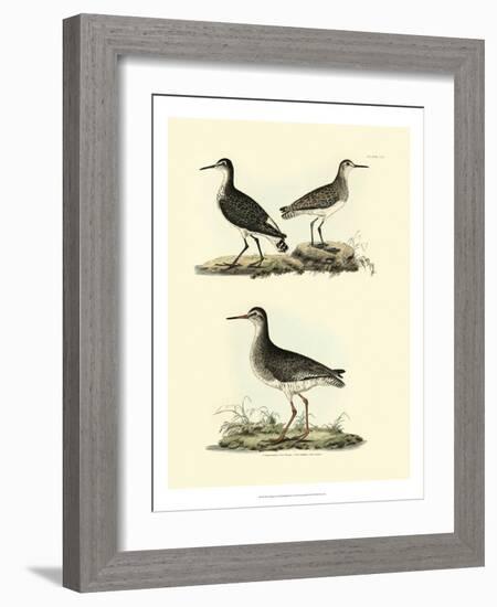 Selby Sandpipers II-John Selby-Framed Art Print