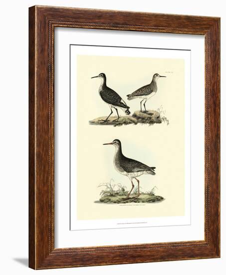 Selby Sandpipers II-John Selby-Framed Art Print