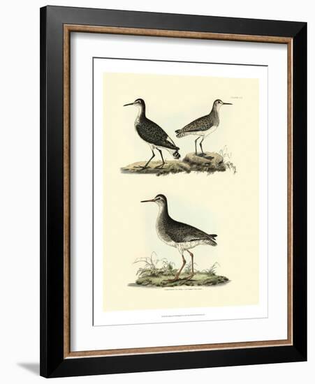 Selby Sandpipers II-John Selby-Framed Art Print