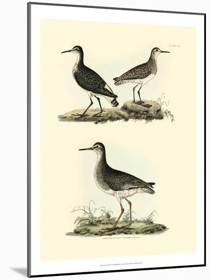 Selby Sandpipers II-John Selby-Mounted Art Print