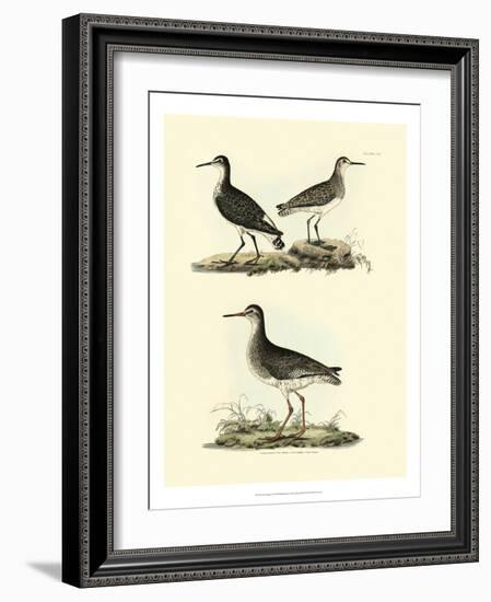 Selby Sandpipers II-John Selby-Framed Art Print