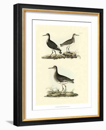 Selby Sandpipers II-John Selby-Framed Art Print