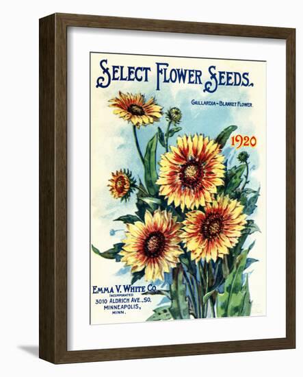 "Select Flower Seeds" Vintage Seed Catalog Sun Flowers-null-Framed Art Print