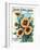"Select Flower Seeds" Vintage Seed Catalog Sun Flowers-null-Framed Art Print