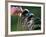 Selecting Golf Club-Mitch Diamond-Framed Photographic Print